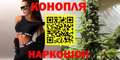 прущие грибы Будённовск