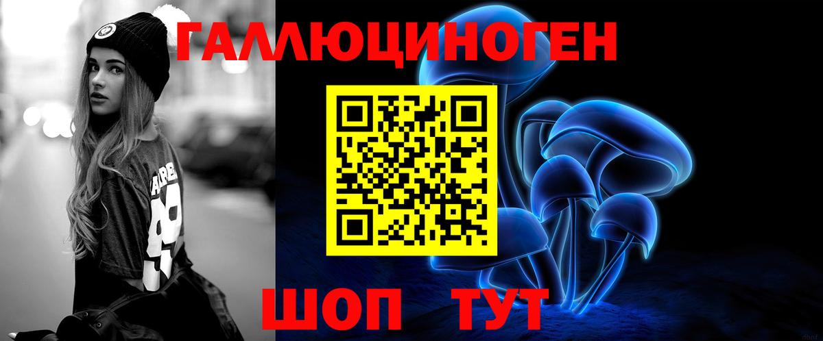 Галлюциногенные грибы Psilocybine cubensis  Вход с VPN  Азов 